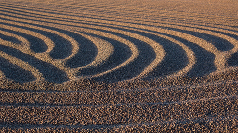 Brazil Barbosa Coffee Origin Trip