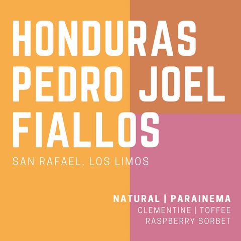 Honduras Pedro Joel Fiallos