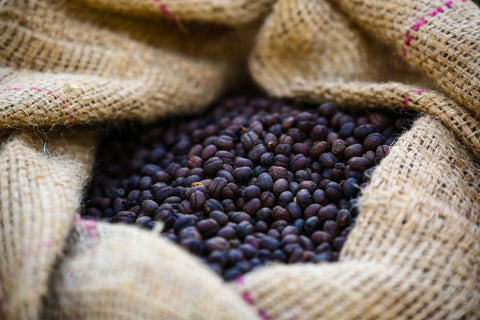 Ethiopia Odaco