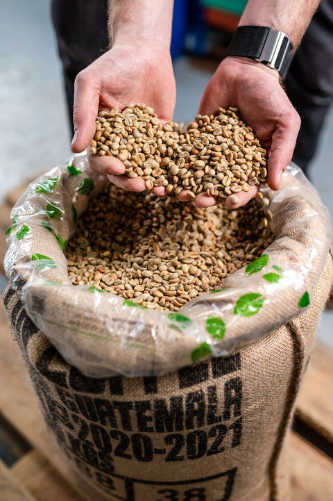 Learn about our selection of single origin coffees