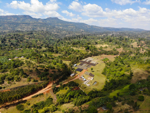 Ethiopia Hamasho