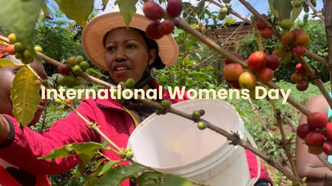International Women's Day: Celebrating Women in Coffee 🌸