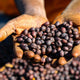 Ethiopia Odaco