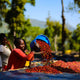 Ethiopia Odaco
