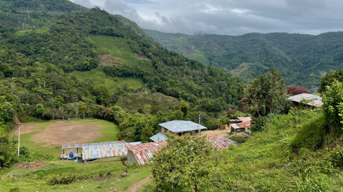 Peru Finca Artemira