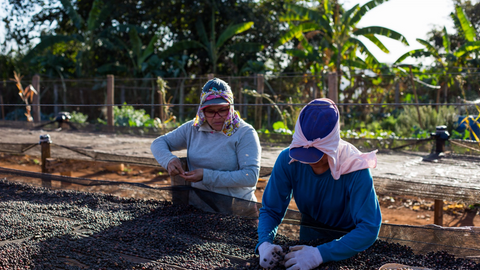 Shop single origin coffee