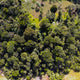 Ethiopia Hamasho
