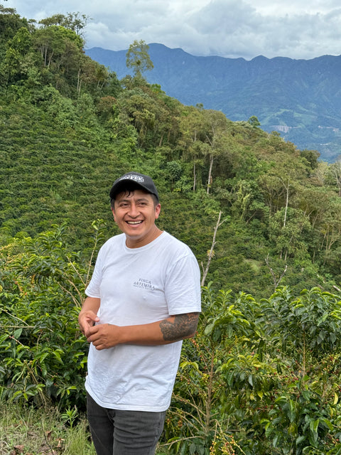 Peru Finca Artemira - Pink Bourbon