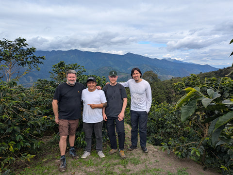 Finca Artemira
