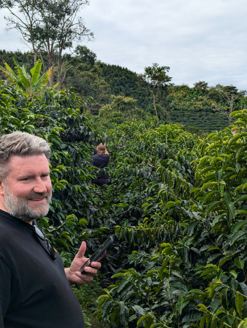 Peru Finca Artemira - Pink Bourbon