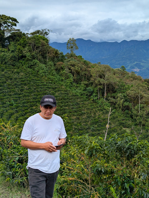 Peru Finca Artemira - Pink Bourbon