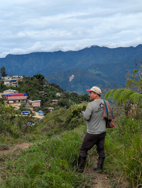 Peru Finca Artemira - Pink Bourbon