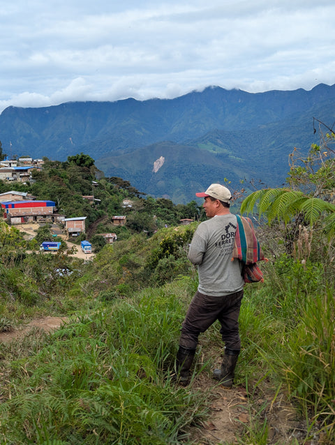 Peru Finca Artemira - Pink Bourbon