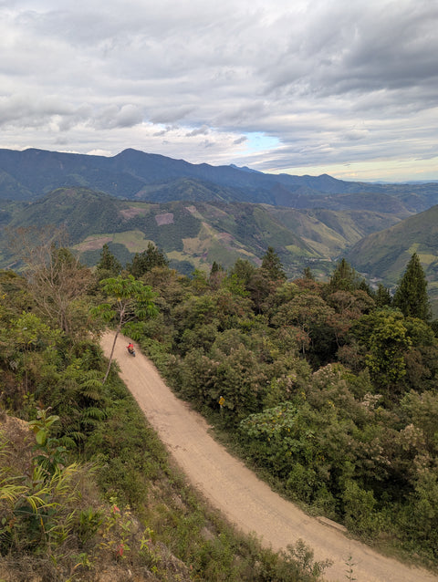 Peru Finca Artemira - Pink Bourbon