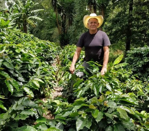 Honduras Pedro Joel Fiallos | Ground or Beans | Bean Coffee | Coffee Subscription Online