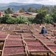 Kenya Mikari