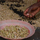 Kenya Mikari | Ground or Beans | Bean Coffee | Coffee Subscription Online